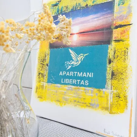 Libertas Near Queen Beach- By Ta Leut Agency Apartment Privlaka (Zadar)